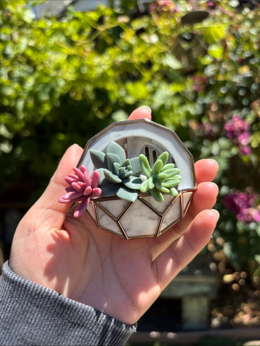 Bath & Body Works Succulent Car Freshener
